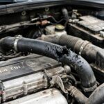 ochrana auta před kunami a hlodavci